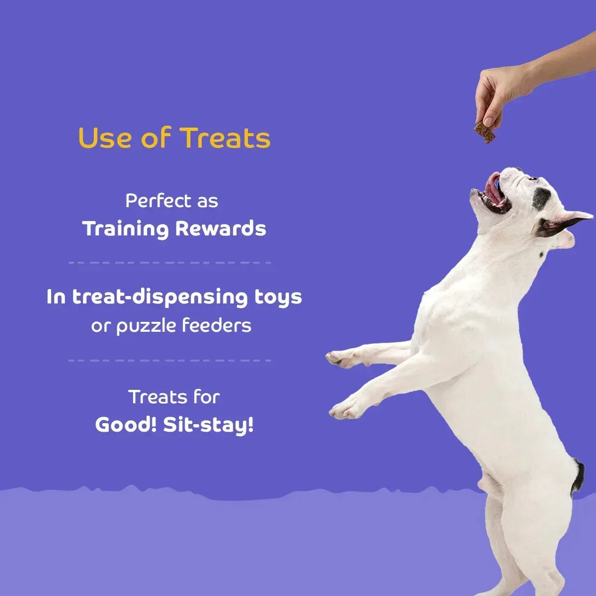 Applod Lamb Dog Biscuit With Ashwagandha - Image 4