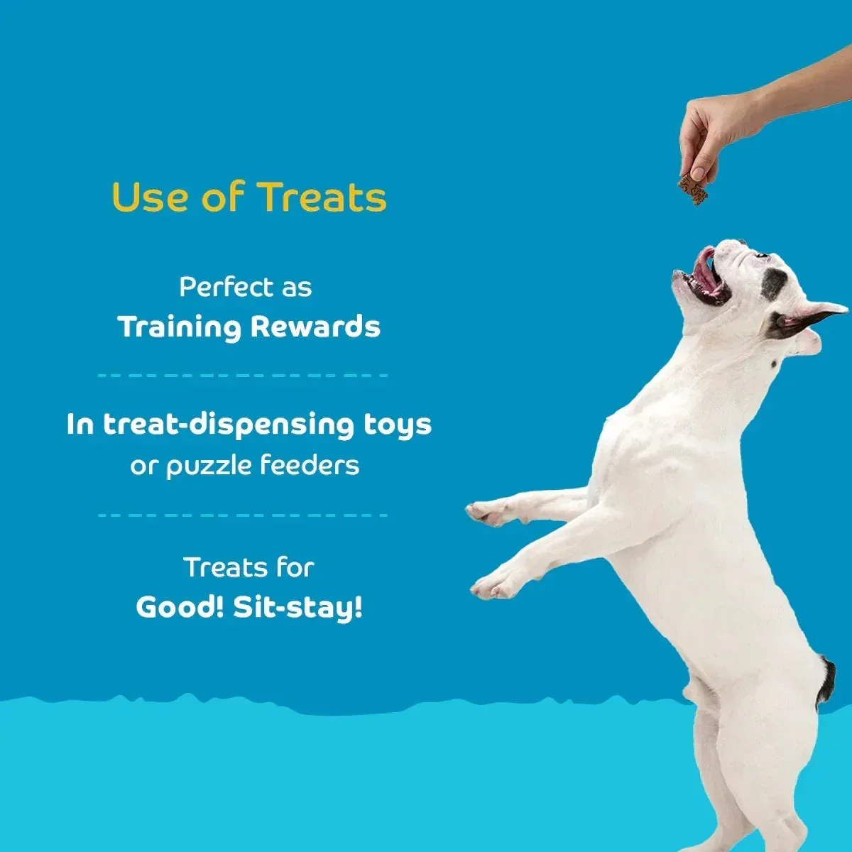 Applod Milk Puppy Biscuit With Collagen - Image 4
