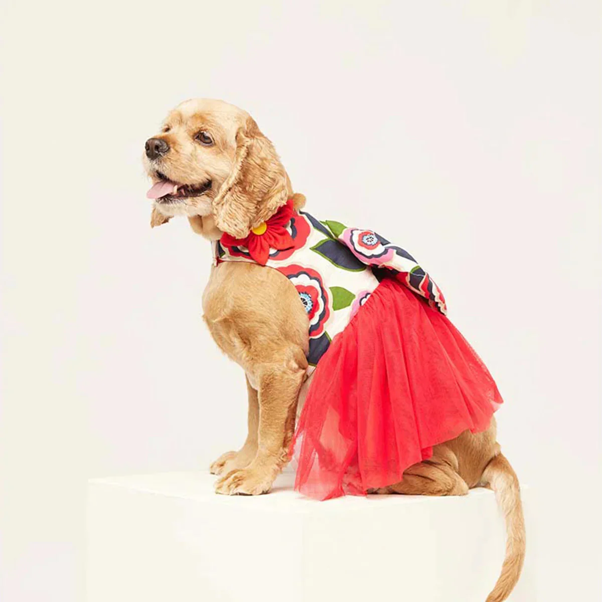 beboji Big Bow Flare Dog Frock - Image 10