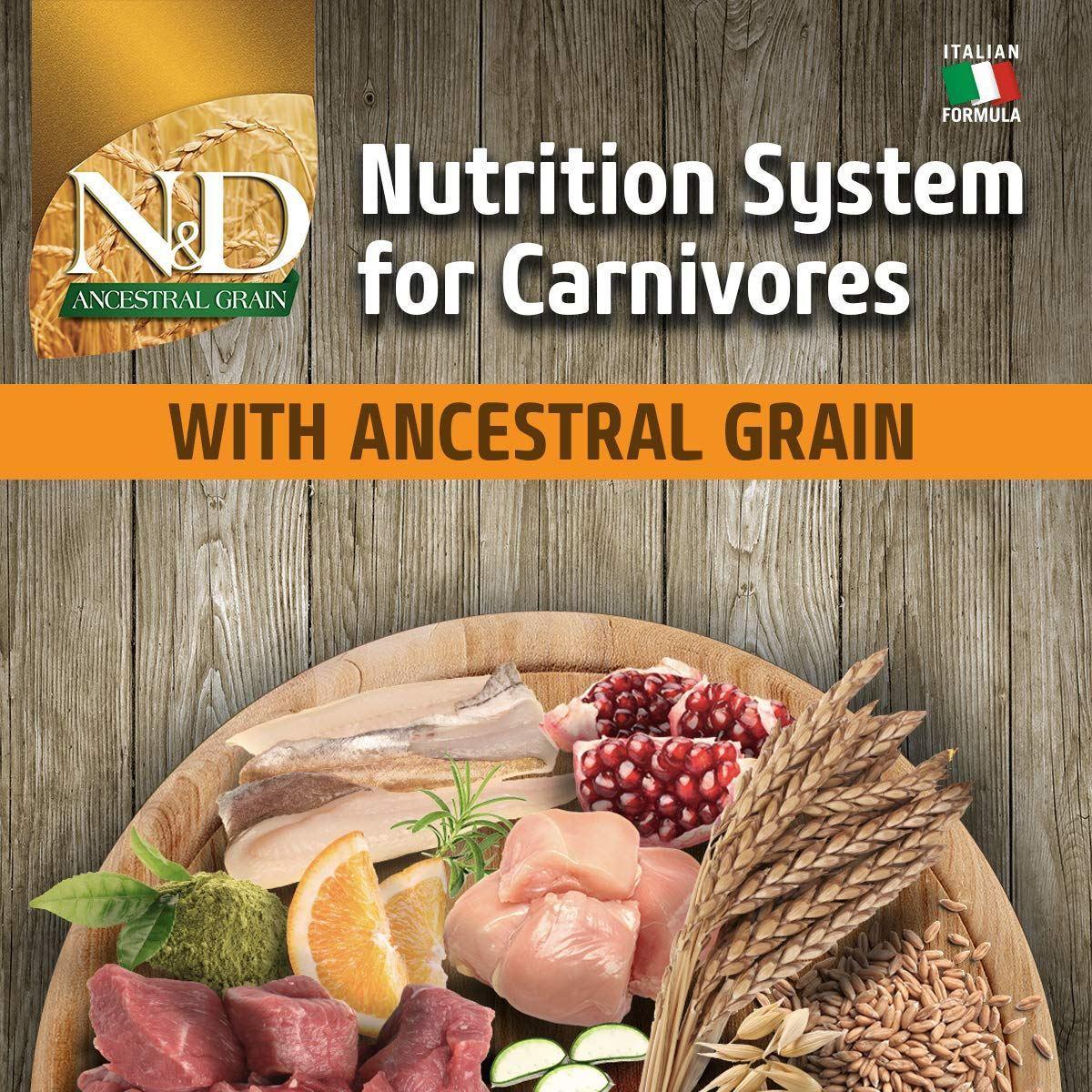 Farmina N&D Ancestral Grain Chicken & Pomegranate Mini Breed Adult - Dry Dog Food - Image 7