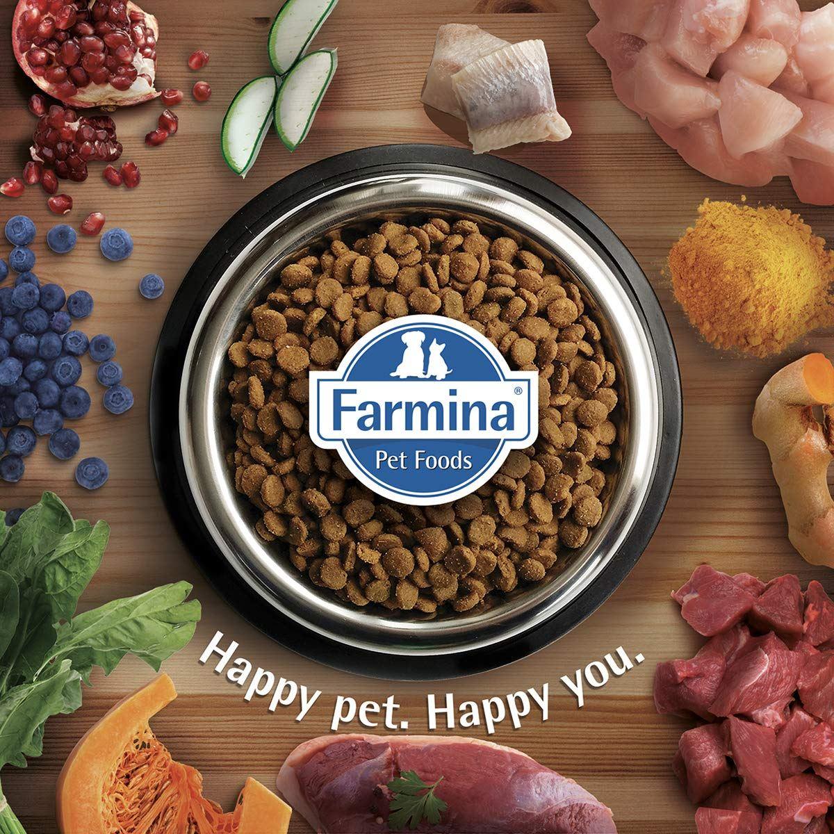 Farmina N& D Ancestral Grain Selection Chicken & Pomegranate Medium & Maxi Breed Adult Dry Dog Food - 12 + 3 kg - Image 8