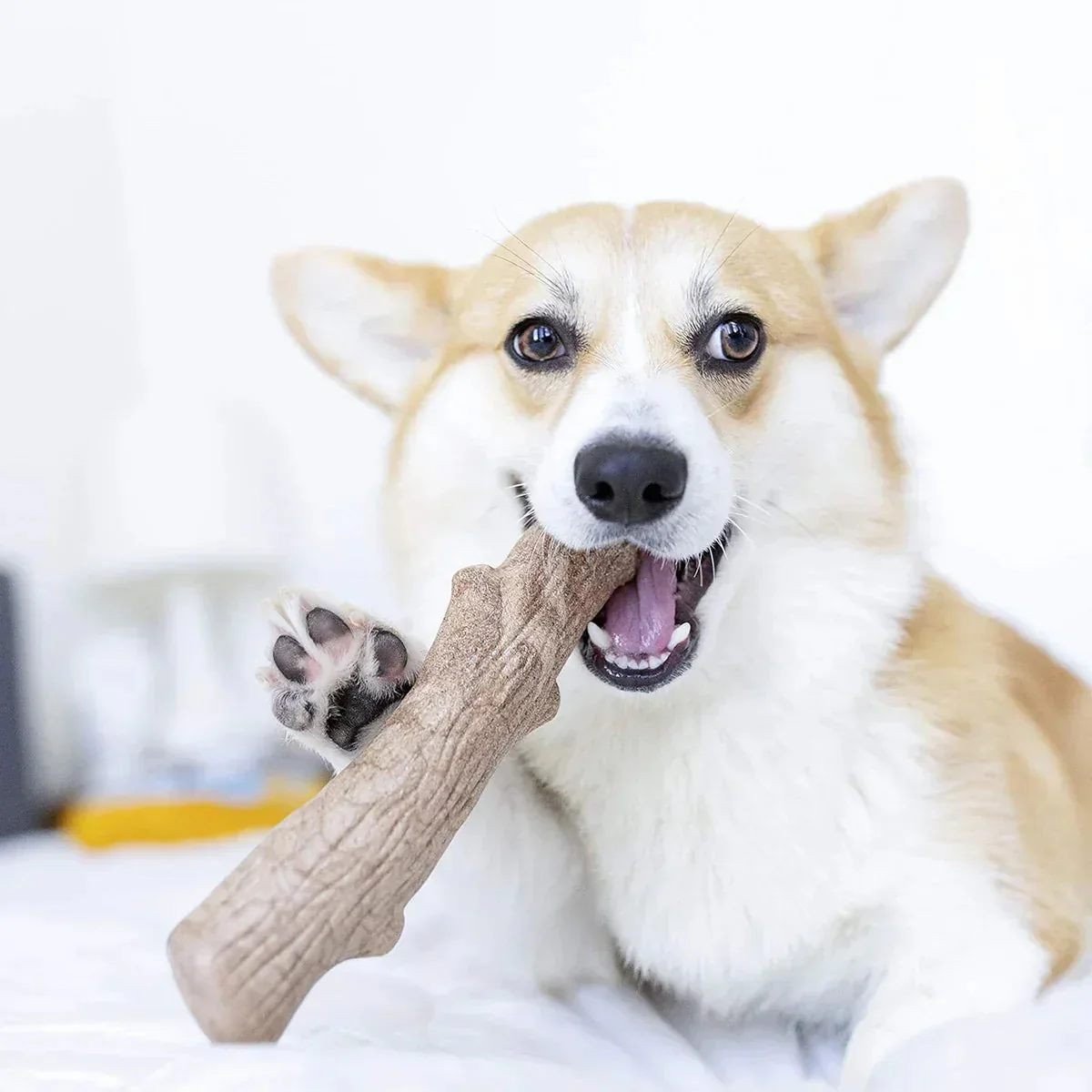 Outward Hound Dogwood Durable Stick Chew Toy - Image 7