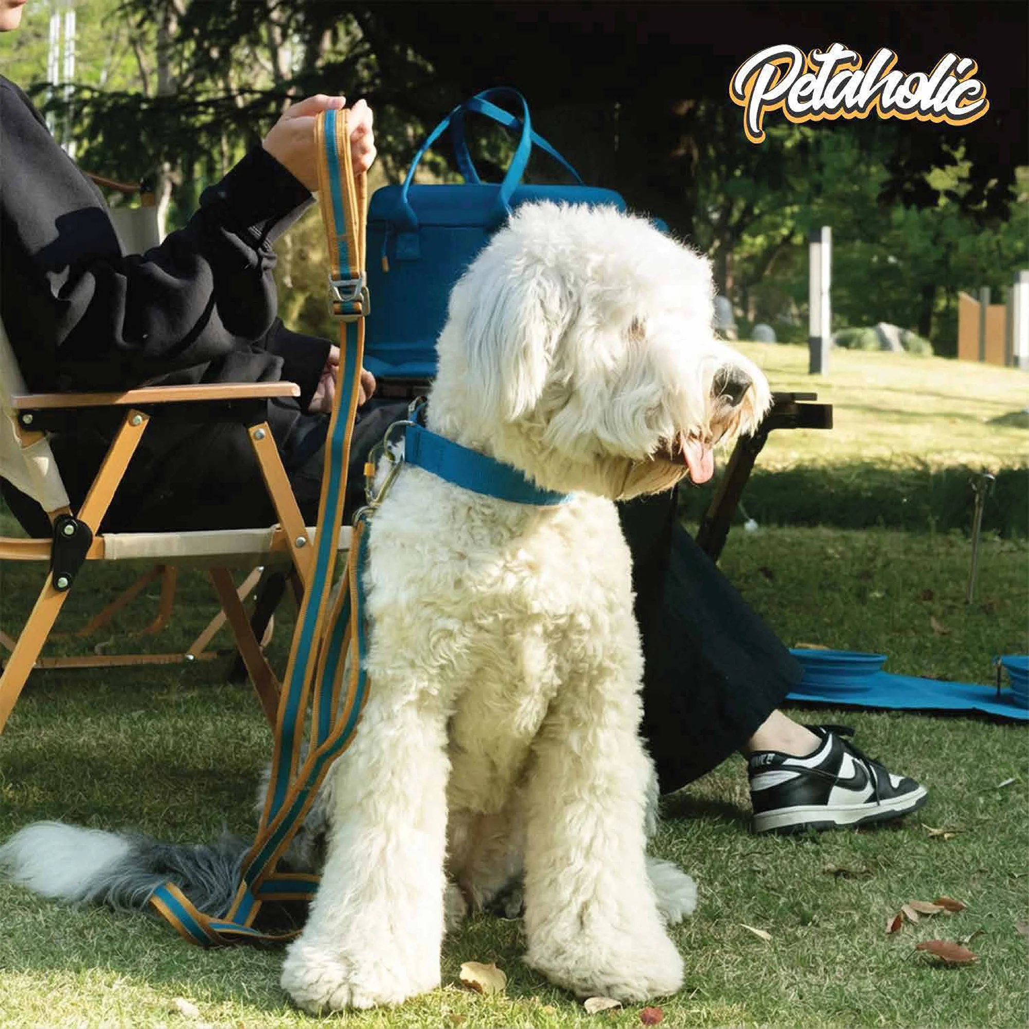 Petaholic Tracker Series Plateau Pet Collar - Mustard - Image 5