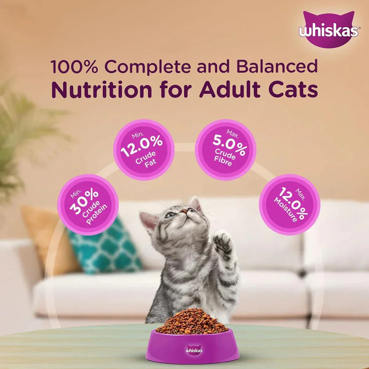 Whiskas Kitten (2-12 months) Mackerel Dry Food - 1.1 kg - Image 9