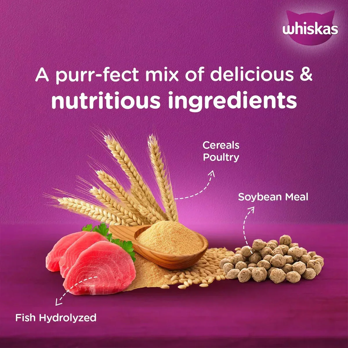Whiskas Mackerel Dry Cat Food - All Breeds Adult (1+ year) - Image 4