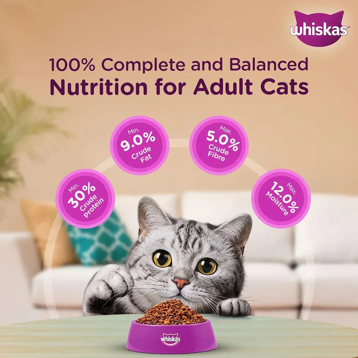 Whiskas Mackerel Dry Cat Food - All Breeds Adult (1+ year) - Image 7