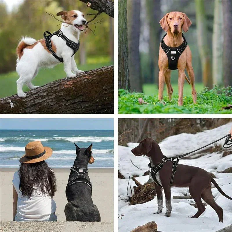 ZL Shadow Guard Adjustable Padded Dog Harness Black - Image 8