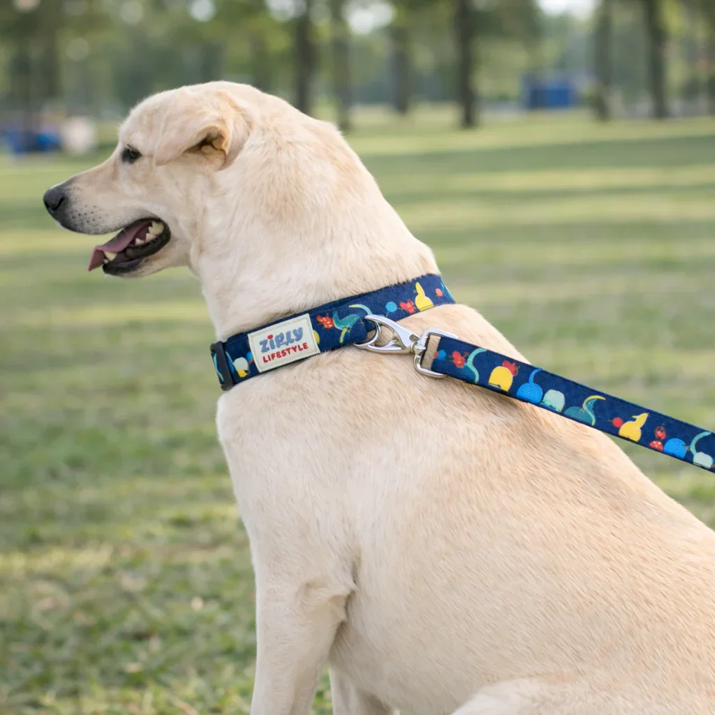 Zigly Lifestyle Tropical Tails Adjustable Dog Collar - Image 3
